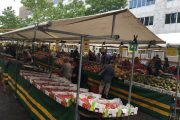Almere Farmer market produce