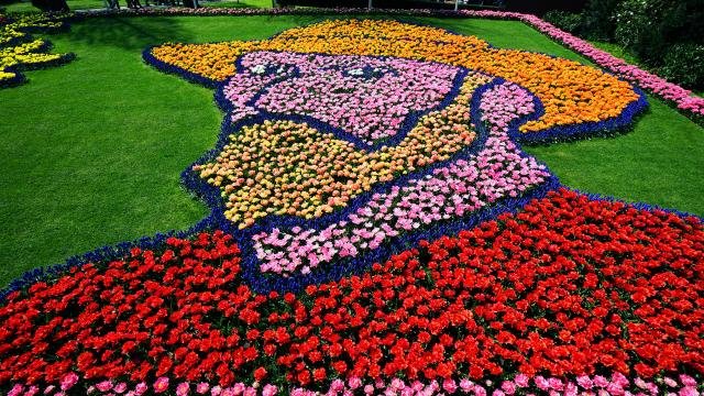 Keukenhof Tulips